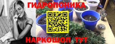гидропоника Бугуруслан