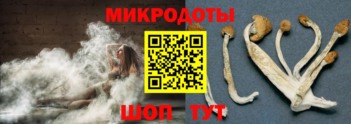 продажа наркотиков  Вход с VPN  Находка  Псилоцибиновые грибы Magic Shrooms 